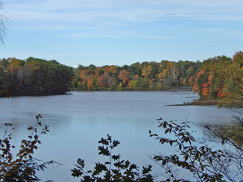 Lake Glacier | Mill Creek Park
